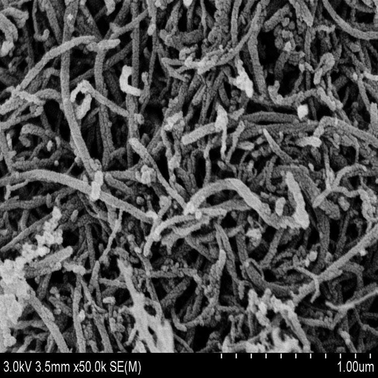 Funcionalização de Superfície de Nanotubos de Carbono de Paredes Múltiplas e Aplicações