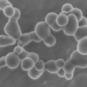nanopartículas de silício de alta pureza de materiais semicondutores