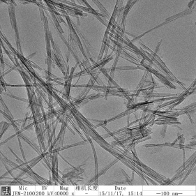 nanotubos de óxido de titânio com alto teor de ssa