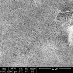 silver nano wires