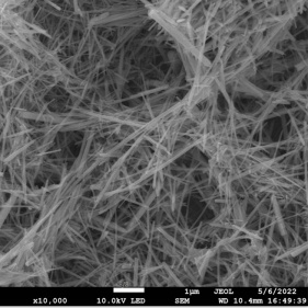 materiais sensíveis usaram nanofios de óxido de zinco altamente ativo
