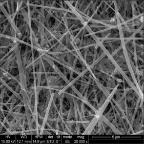 Si nanofio

