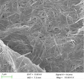 nanofio de VO2