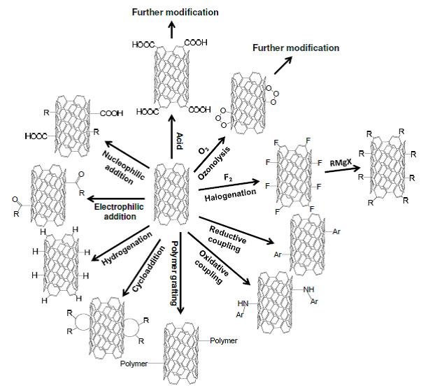 modificação funcional na superfície de nanotubos de carbono (cnts)