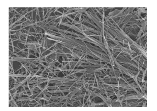 Materiais de dióxido de vanádio nano: um guia abrangente para partículas monoclínicas, dopadas com W e nanofios