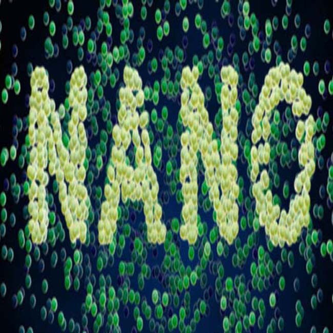 nanopartículas onipresentes e nanopós na vida
